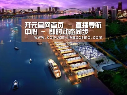 案例展示八