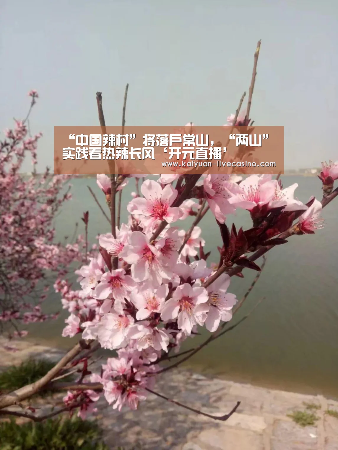 “中国辣村”将落户常山,“两山”实践看热辣长风‘开元直播’(图4) 开元官网